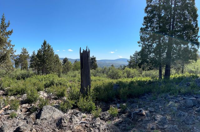 937 Bailey Mountain Road, Klamath Falls, OR 97601