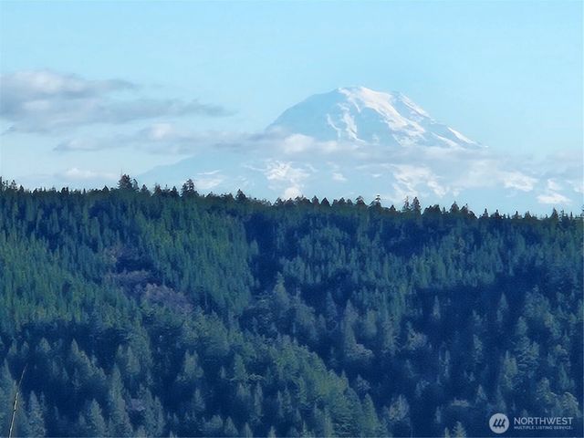 41 N Picnic Drive NW, Lilliwaup, WA 98555