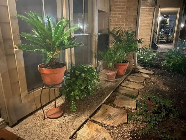2100 Tanglewilde Street 515, Houston, TX 77063