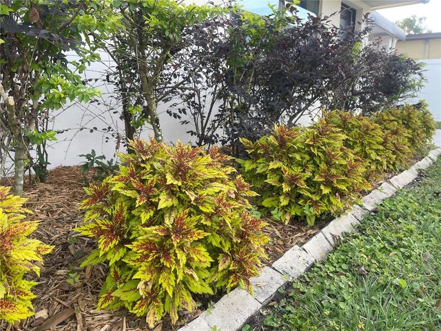 916 TIMOR AVENUE, Orlando, FL 32804