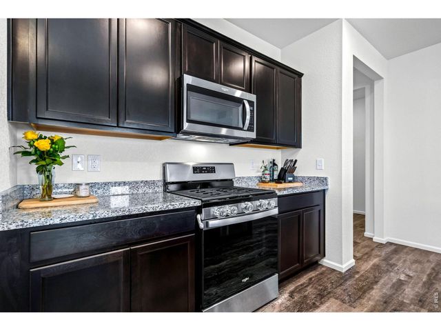 1668 Gratton Ct, Windsor, CO 80550