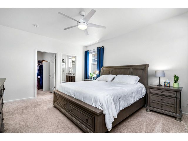 1668 Gratton Ct, Windsor, CO 80550