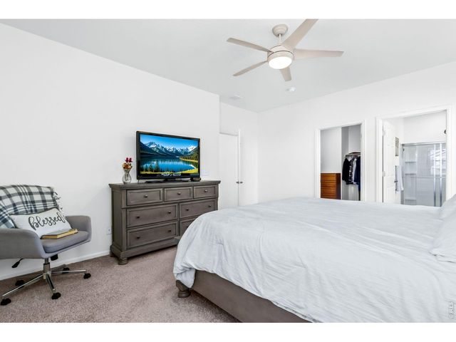 1668 Gratton Ct, Windsor, CO 80550