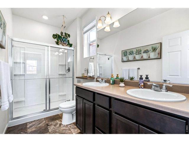 1668 Gratton Ct, Windsor, CO 80550