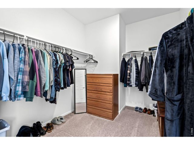 1668 Gratton Ct, Windsor, CO 80550