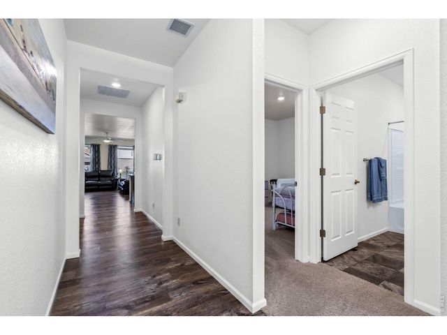 1668 Gratton Ct, Windsor, CO 80550