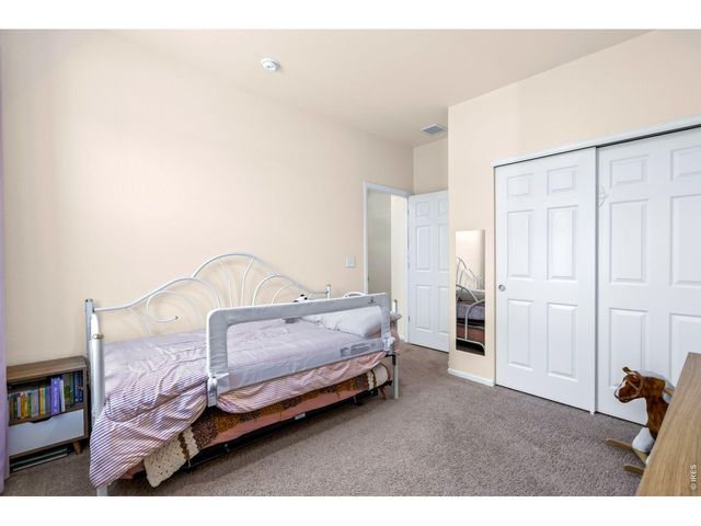 1668 Gratton Ct, Windsor, CO 80550