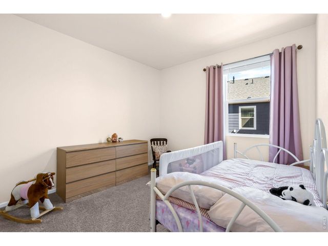 1668 Gratton Ct, Windsor, CO 80550