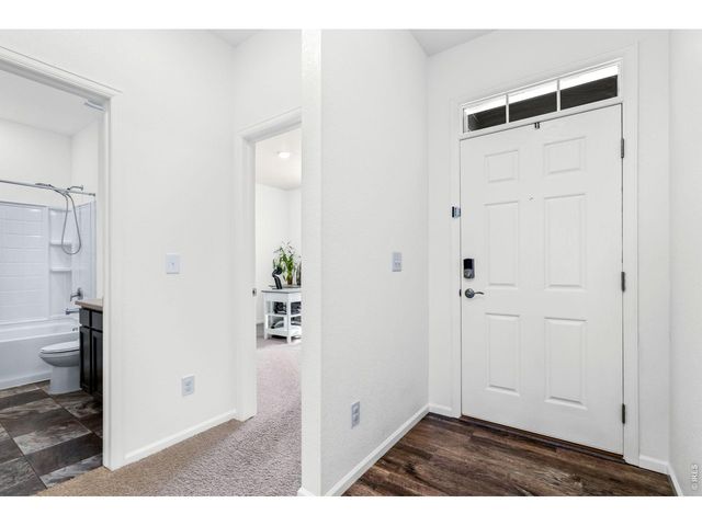 1668 Gratton Ct, Windsor, CO 80550