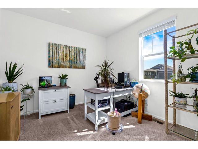 1668 Gratton Ct, Windsor, CO 80550