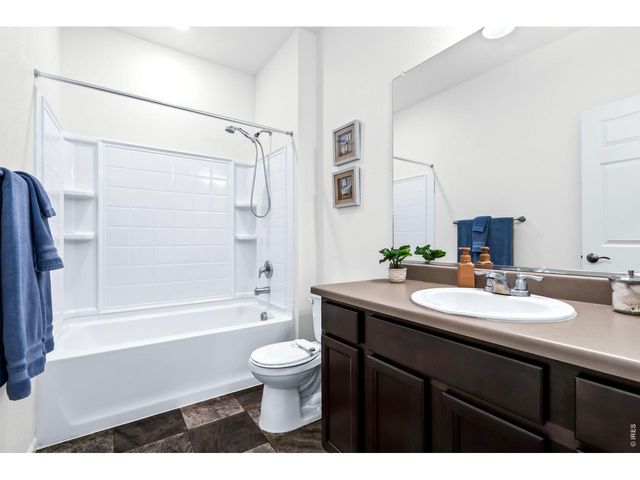 1668 Gratton Ct, Windsor, CO 80550