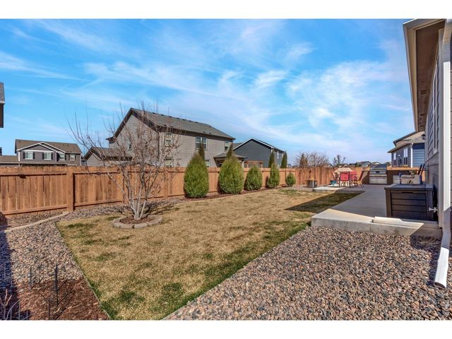 1668 Gratton Ct, Windsor, CO 80550