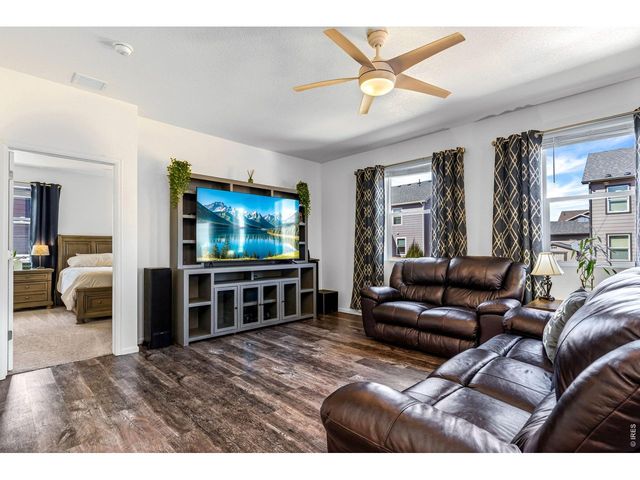 1668 Gratton Ct, Windsor, CO 80550