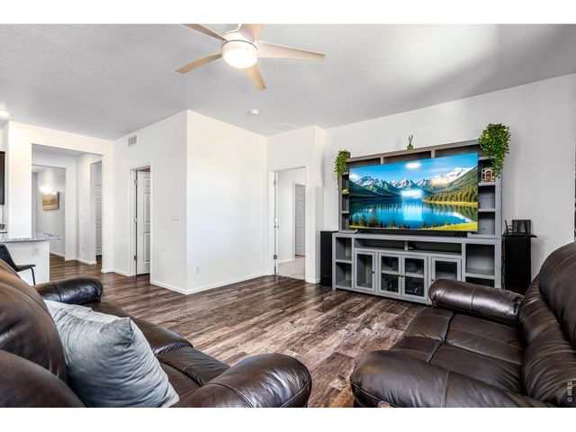 1668 Gratton Ct, Windsor, CO 80550