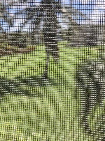 230 NE 26th Avenue N 2140, Boynton Beach, FL 33435