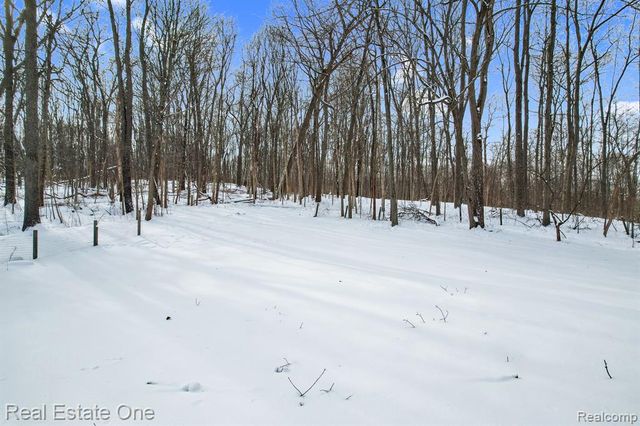 195 Corey Lane, Ortonville, MI 48462