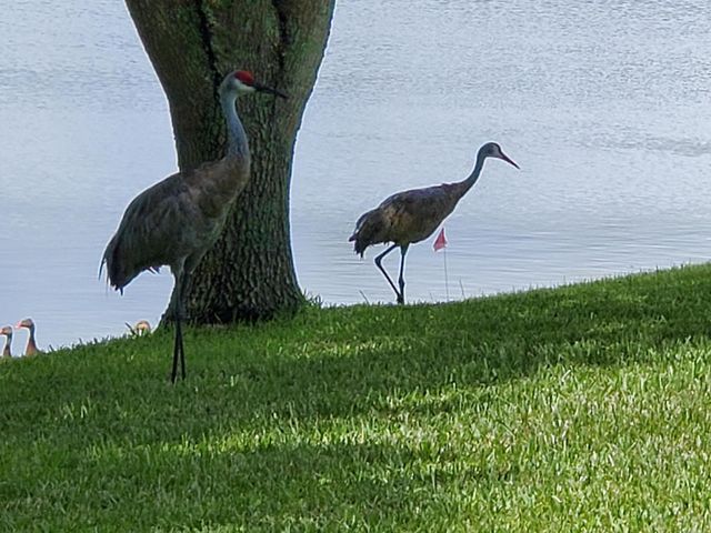 6711 Dickinson Terrace, Port St. Lucie, Port St Lucie, FL 34952