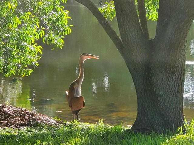 6711 Dickinson Terrace, Port St. Lucie, Port St Lucie, FL 34952