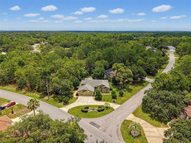 1 PLUMBAGO DRIVE, Homosassa, FL 34446