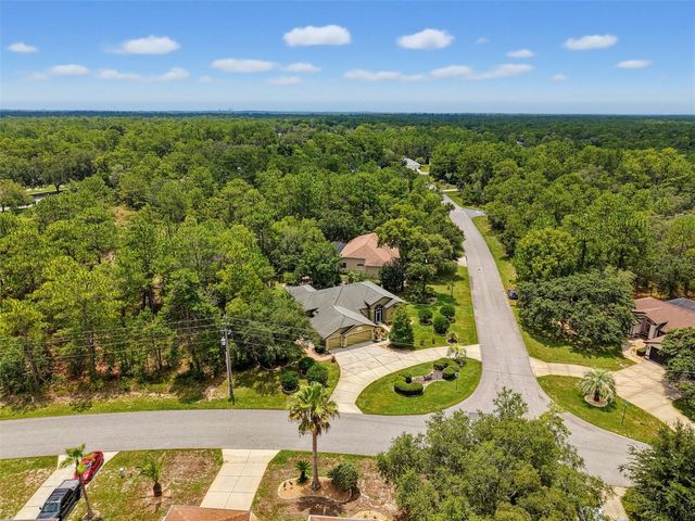 1 PLUMBAGO DRIVE, Homosassa, FL 34446