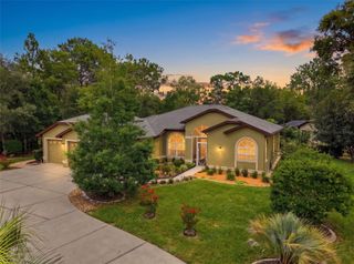 1 PLUMBAGO DRIVE, Homosassa, FL 34446