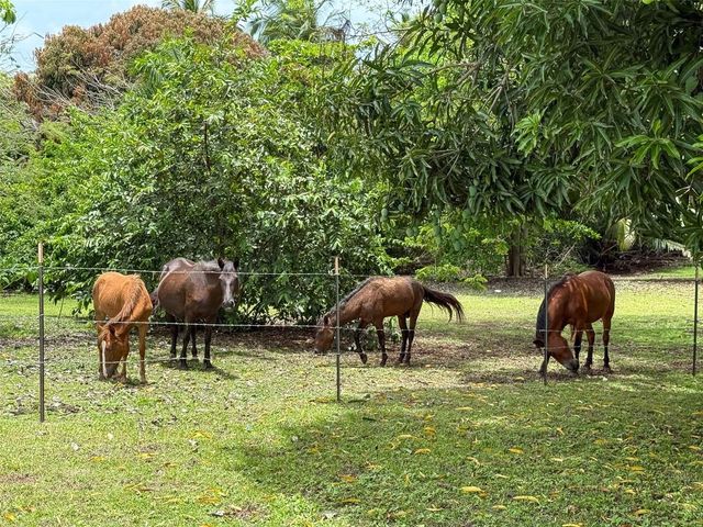 21 CALLE MARGIN MARTINEZ, Vieques, PR 00765