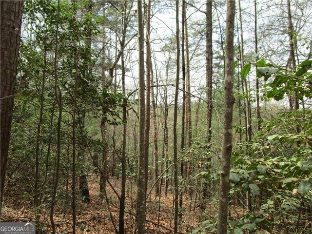 3 AC East New Hope Road, Ellijay, GA 30536