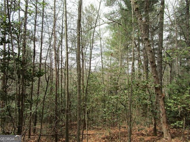 3 AC East New Hope Road, Ellijay, GA 30536