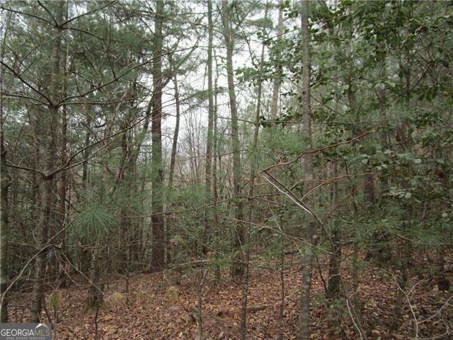 3 AC East New Hope Road, Ellijay, GA 30536