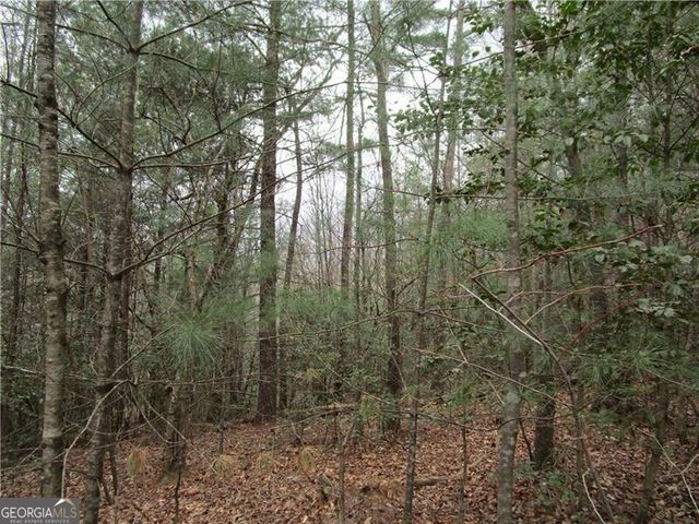 3 AC East New Hope Road, Ellijay, GA 30536
