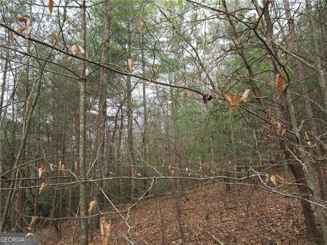 3 AC East New Hope Road, Ellijay, GA 30536