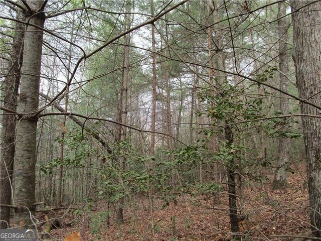 3 AC East New Hope Road, Ellijay, GA 30536