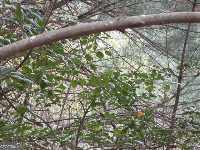 3 AC East New Hope Road, Ellijay, GA 30536