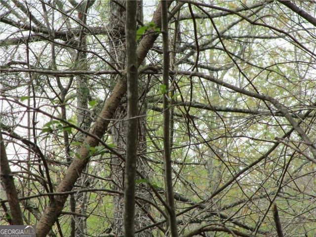 3 AC East New Hope Road, Ellijay, GA 30536