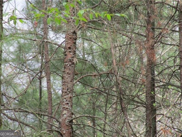 3 AC East New Hope Road, Ellijay, GA 30536
