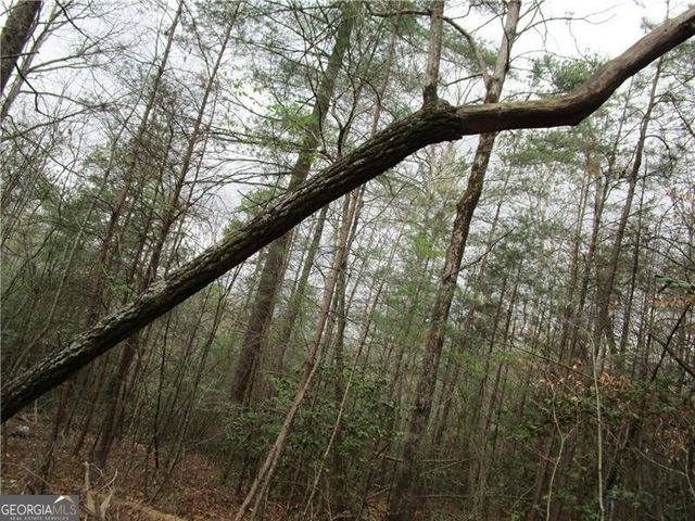 3 AC East New Hope Road, Ellijay, GA 30536