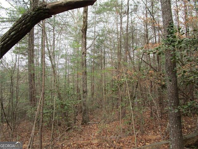 3 AC East New Hope Road, Ellijay, GA 30536