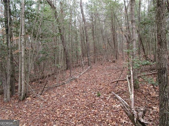 3 AC East New Hope Road, Ellijay, GA 30536