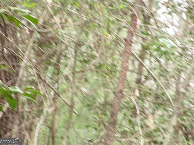 3 AC East New Hope Road, Ellijay, GA 30536