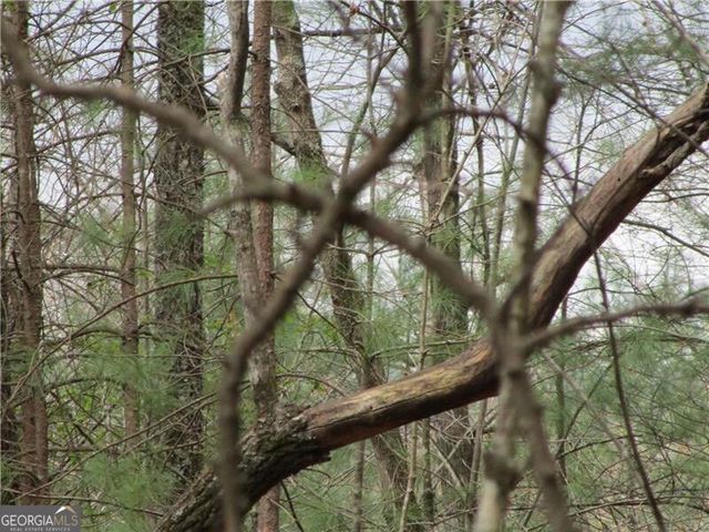 3 AC East New Hope Road, Ellijay, GA 30536