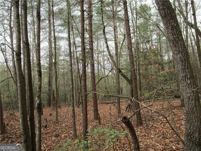 3 AC East New Hope Road, Ellijay, GA 30536