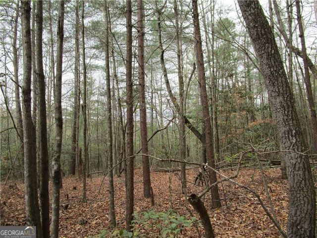 3 AC East New Hope Road, Ellijay, GA 30536