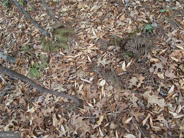 3 AC East New Hope Road, Ellijay, GA 30536