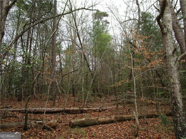 3 AC East New Hope Road, Ellijay, GA 30536