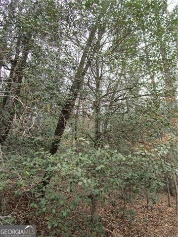 3 AC East New Hope Road, Ellijay, GA 30536