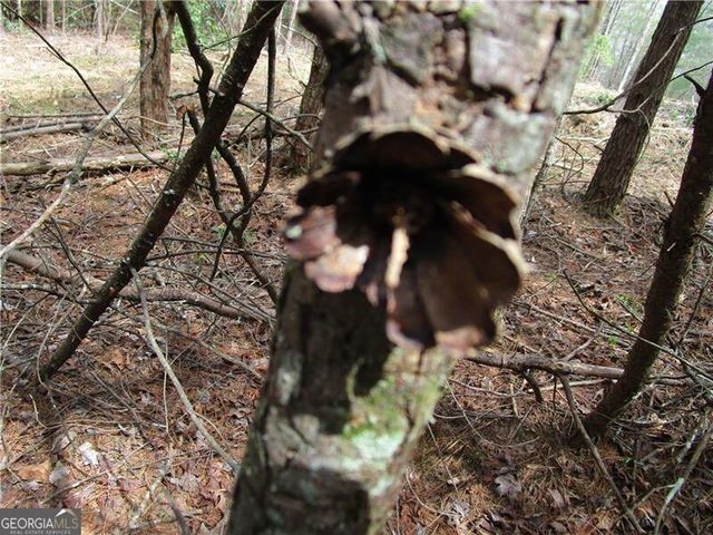 3 AC East New Hope Road, Ellijay, GA 30536