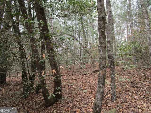 3 AC East New Hope Road, Ellijay, GA 30536