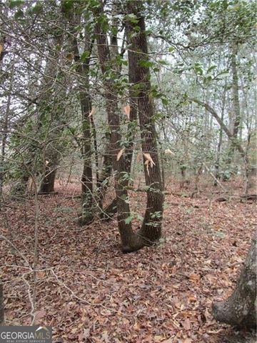 3 AC East New Hope Road, Ellijay, GA 30536
