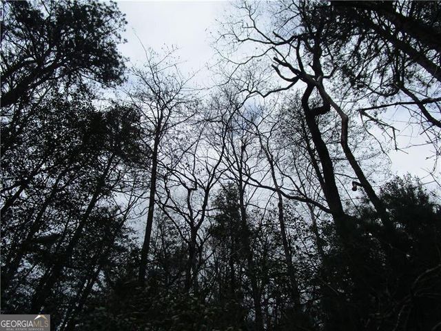 3 AC East New Hope Road, Ellijay, GA 30536