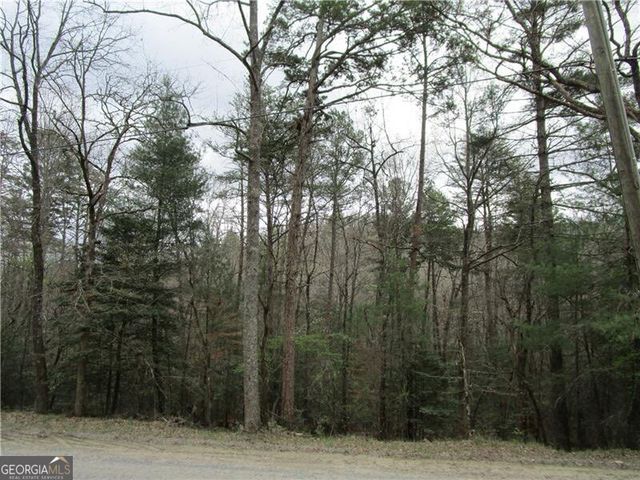 3 AC East New Hope Road, Ellijay, GA 30536